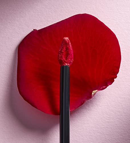 Deborah D. RED TOUCH LIPSTICK 13 - ROSY BROWN