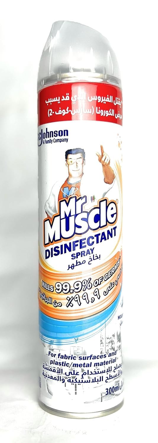 Mr. Muscle Disinfectant Aerosol – Mountain Fresh