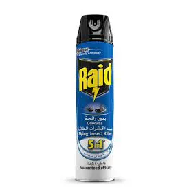 Raid | Insecticide Plane Odorless | 300ml
