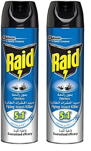 Raid Flying Insect Killer Odorless 300 ML (Pack of 2)