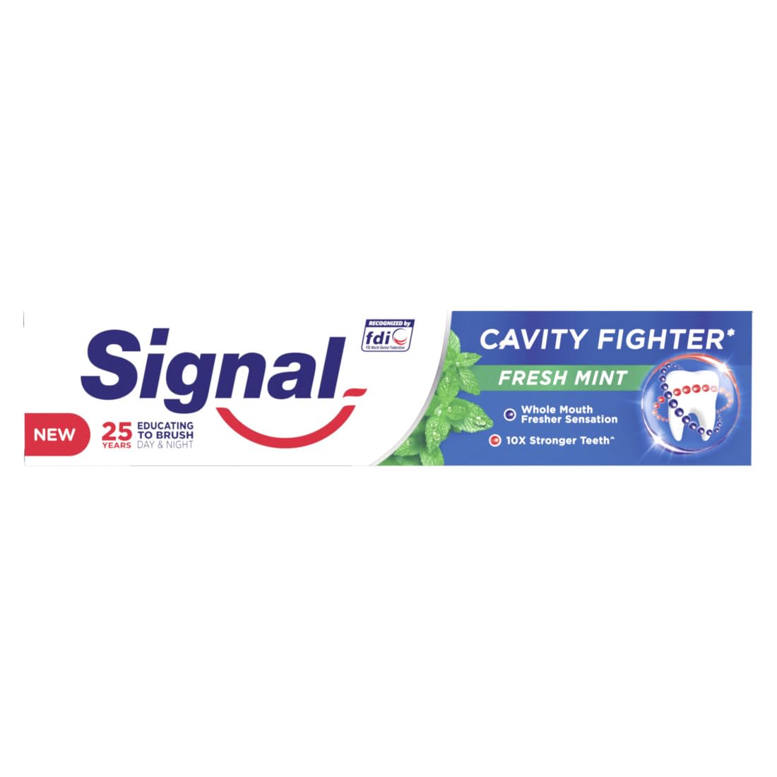 Signal Toothpaste Cavity Fighter With Fresh Mint 120ML