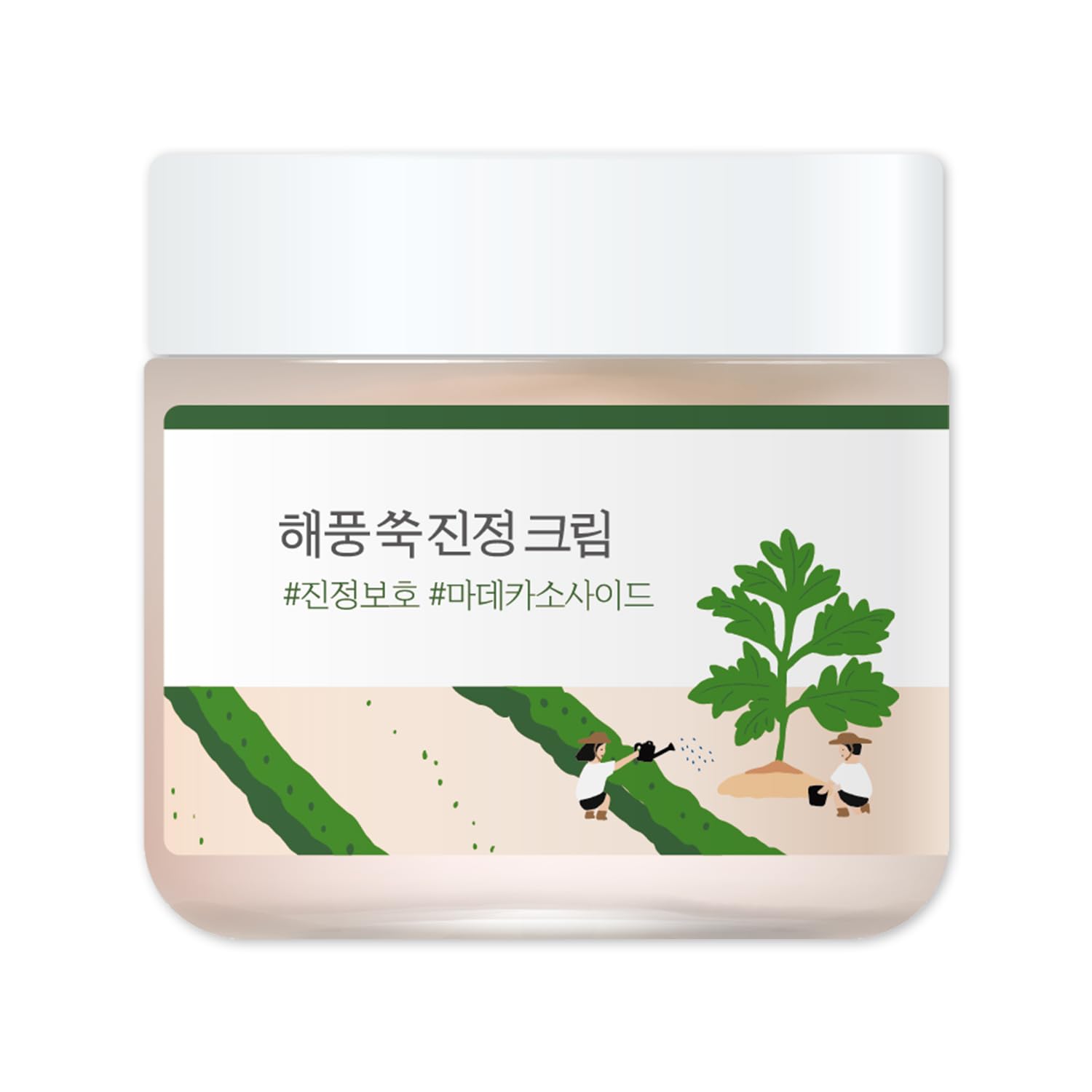 ROUND LAB Soothing cream with armo 80 ml