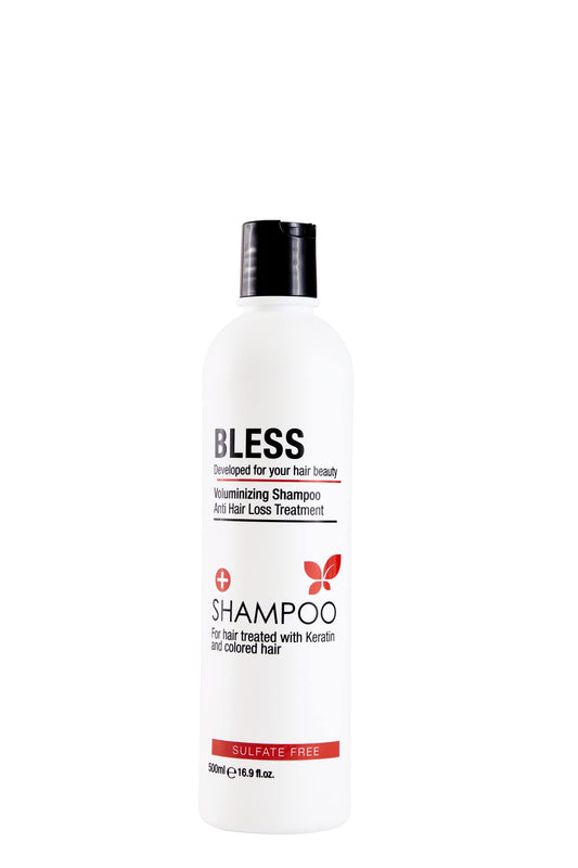 Bless shampoo for hair treated with keratin and colored hair, 500 ml