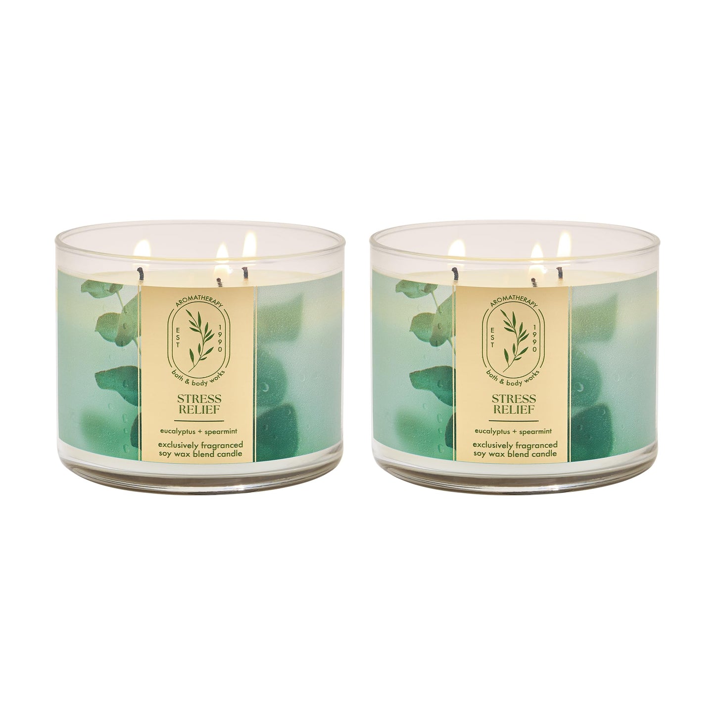 Bath & Body Works and Aromatherapy 3 Wick Candle, 14.5 Oz, Eucalyptus Spearmint (2 Pack)
