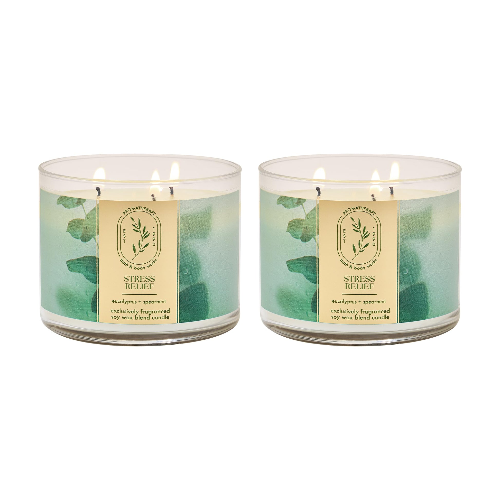 Bath & Body Works and Aromatherapy 3 Wick Candle, 14.5 Oz, Eucalyptus Spearmint (2 Pack)