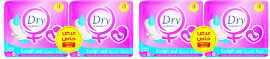 Dry Boost Postpartum & Bleeding Sanitary Pads, Special Offer, 20 Pads (Pack of 2)