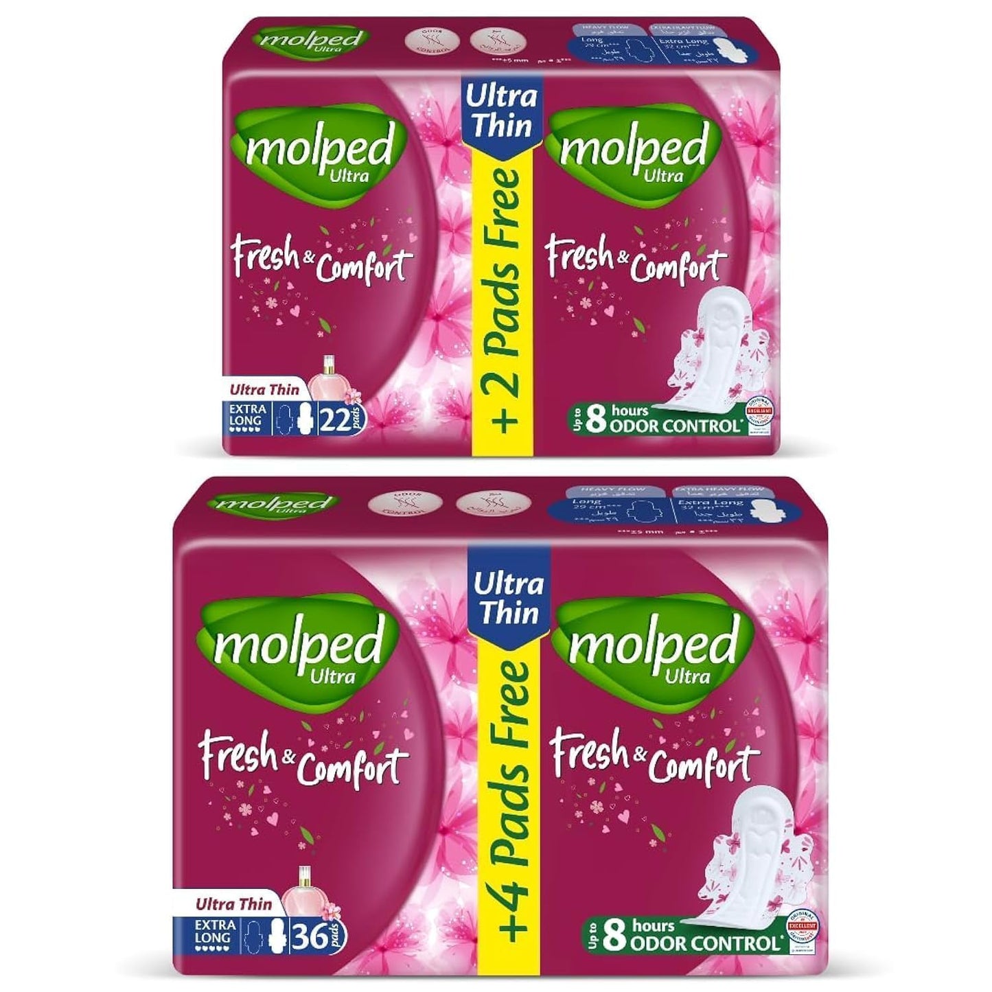 Molped Ultra Thin Box "Extra Long"