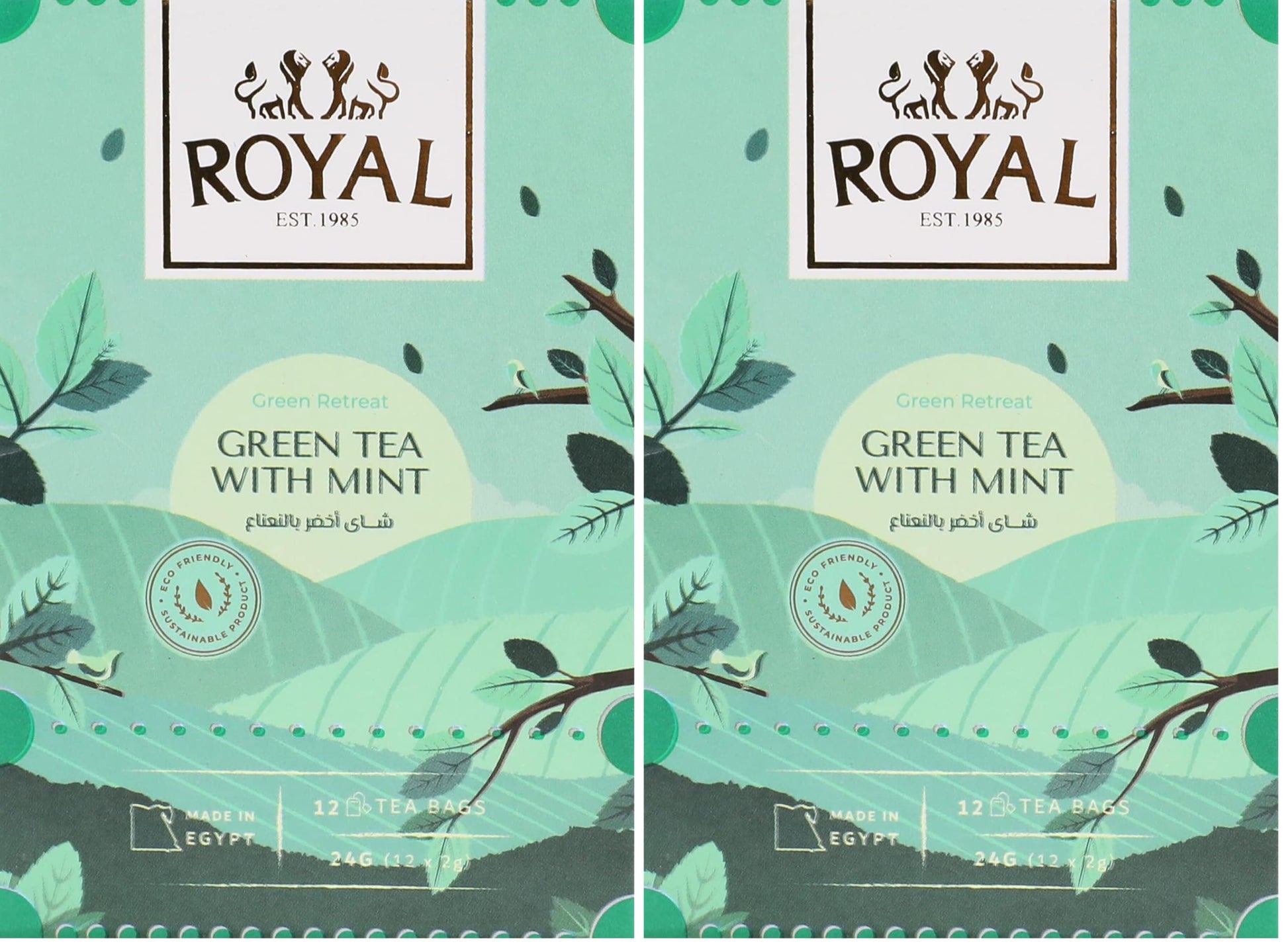 Royal Herbs green tea with mint,12 bags (Pack of 2)