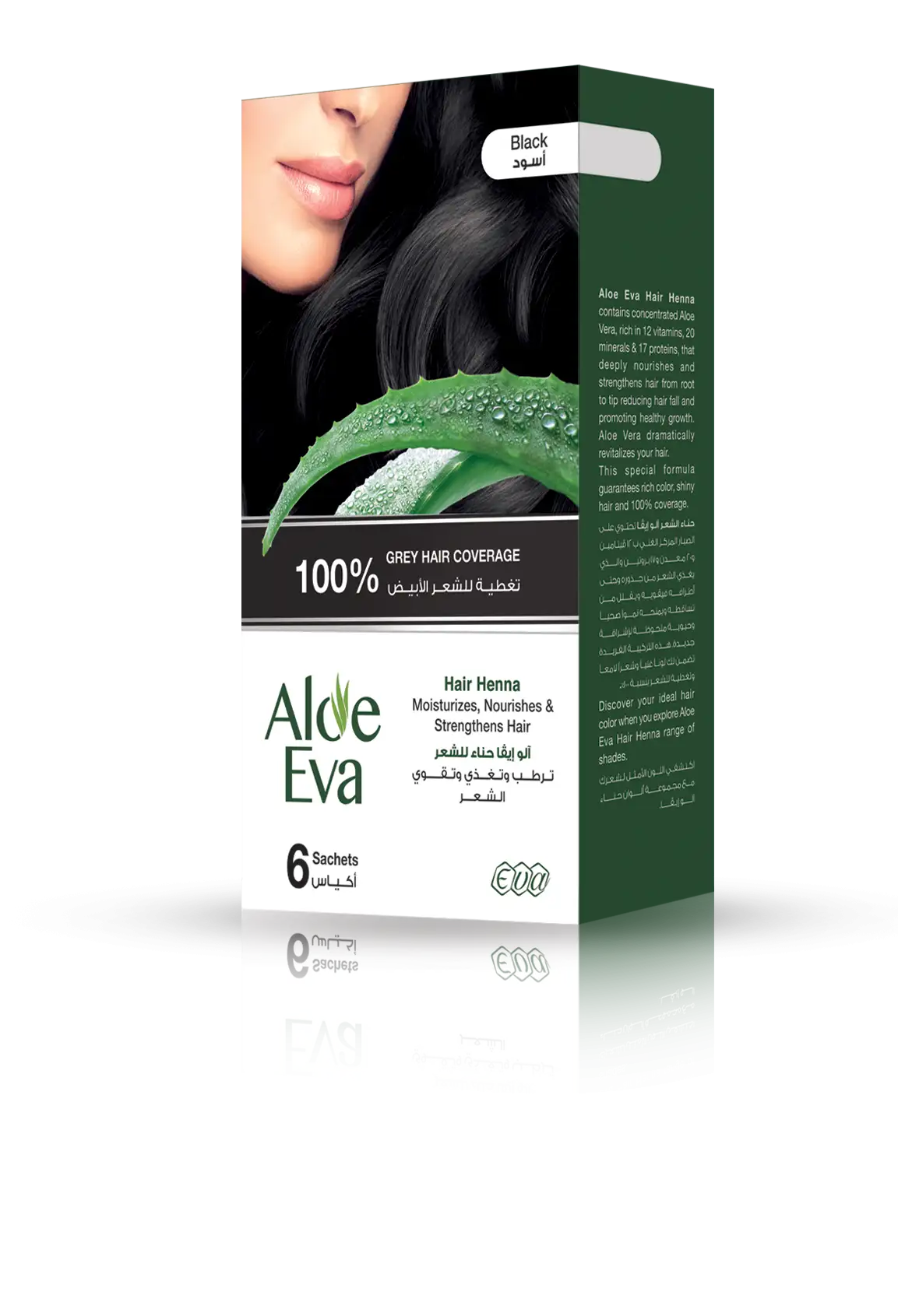 Aloe Eva Hair Henna Black ( 6 sachets * 10 Gm )