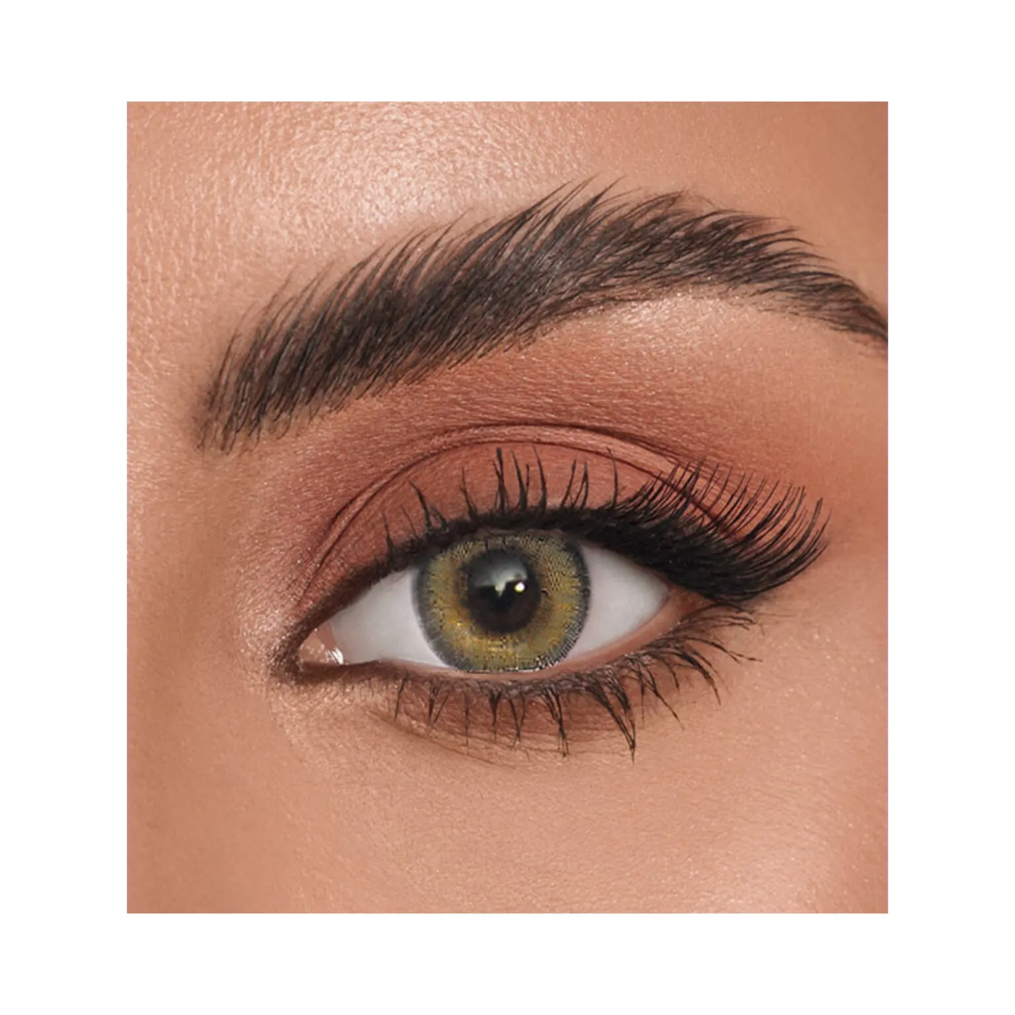 Adore | Bi-Hazel Lenses