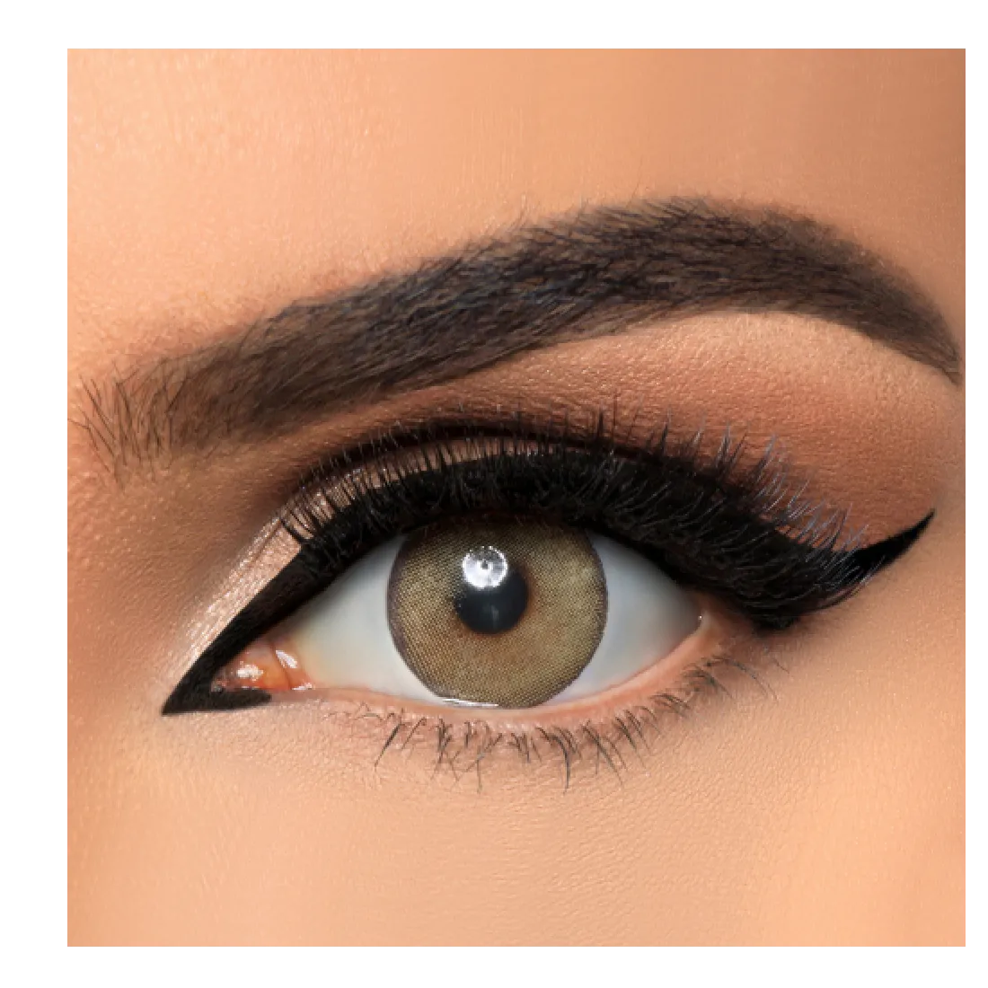 Dahab | Soft Contact Lenses Honey