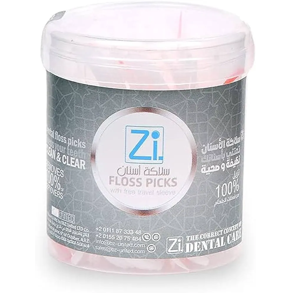Zi | Dental Floss Picks | 100 Pcs